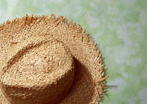 総合リサイクルショップ「ワンダーレックス 千葉ニュータウン店」の魅力と最新情報